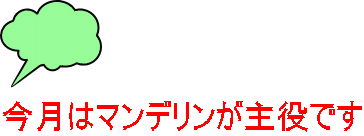    今月はマンデリンが主役です